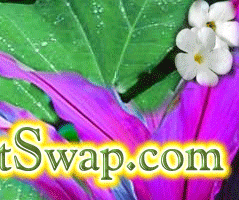 Plant Swap